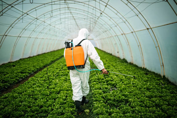 Best Emergency Pest Control  in Cocoa, FL