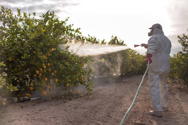 Best Pest Control Near Me in Cocoa, FL