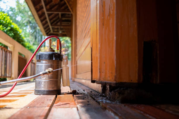 Best Cockroach Control Services  in Cocoa, FL