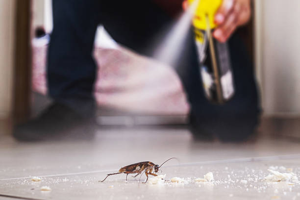 Best Spider Control Near Me  in Cocoa, FL
