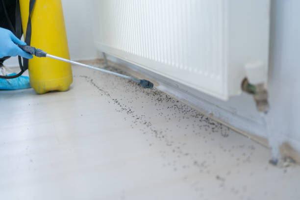 Best Residential Pest Control  in Cocoa, FL