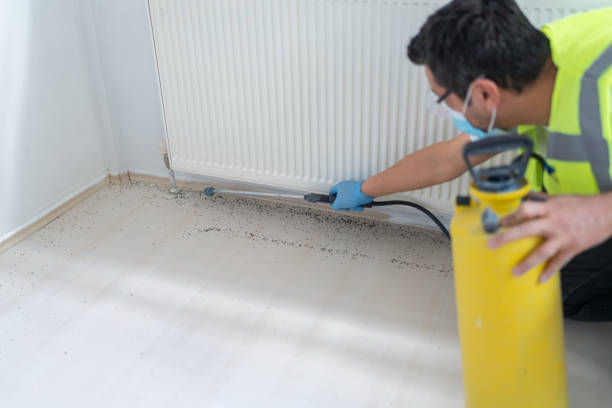 Best Ant Control Services  in Cocoa, FL